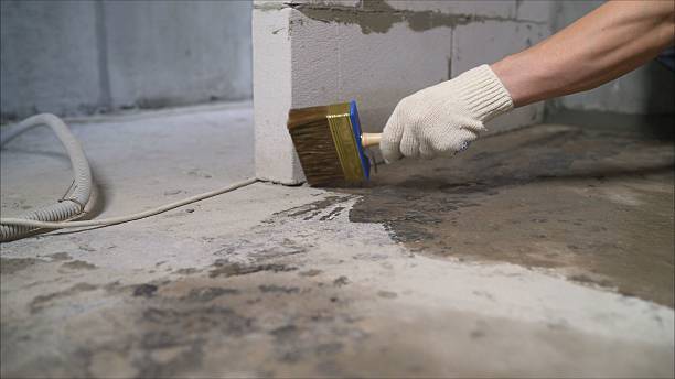 24/7 Emergency Crawl Space Encapsulation experts in Nashotah, WI